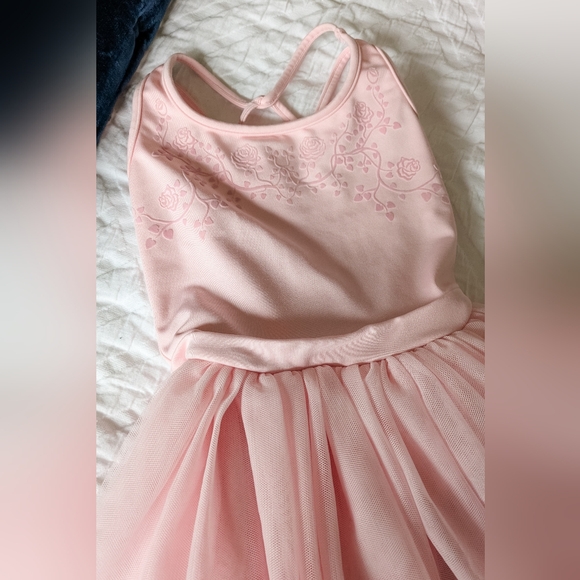 EUC Bloch 6x-7 Pink Tutu with Roses - Picture 2 of 6